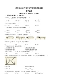 福建省泉州市泉港区2022-2023学年七年级下学期期末数学试题（含答案）