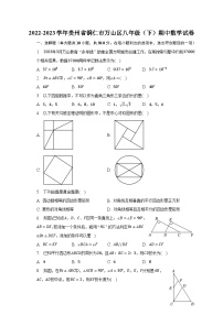 2022-2023学年贵州省铜仁市万山区八年级（下）期中数学试卷（含解析）