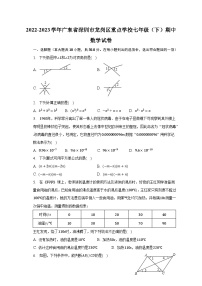 2022-2023学年广东省深圳市龙岗区重点学校七年级（下）期中数学试卷（含解析）