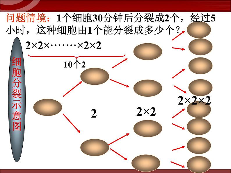 第4讲 有理数的综合运算 课件  2022—2023学年沪教版（上海）数学六年级第二学期02