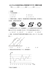 2023年山东省泰安市泰山学院附属中学中考三模数学试题（含答案）