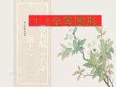 1.1 全等圖形 蘇科版數(shù)學八年級上冊課件 (2)