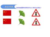 1.2 全等三角形 蘇科版數(shù)學(xué)八年級上冊課件 (2)