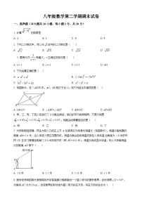 八年级下学期期末考试数学试题