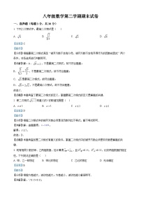 八年级下学期期末考试数学试题（解析版）