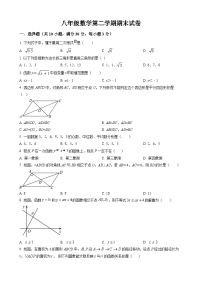 八年级下学期期末数学试卷