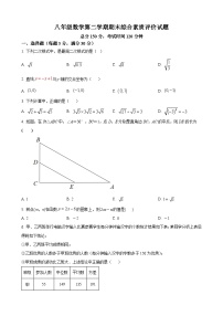 八年级下学期期末数学试题