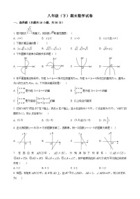 八年级下学期期末数学试题