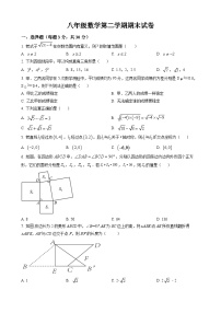 八年级下学期期末数学试题