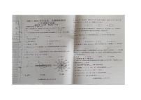 黑龙江省双鸭山市集贤县2022-2023学年七年级下学期期末数学试题