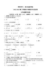 广东省岭南师范学院附属中学、湛江市东方实验2022-2023学年七年级下学期期末联考数学试题（含答案）