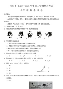 河南省洛阳市2022-2023学年七年级下学期7月期末数学试题（含答案）