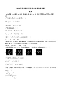 湖南省娄底市新化县2022-2023学年七年级下学期期末数学试题（含答案）