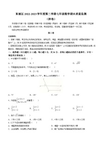 天津市东丽区2022-2023学年七年级下学期期末数学试题（含答案）