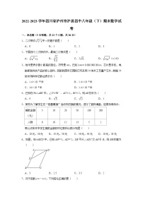 四川省泸州市泸县第四中学2022-2023学年八年级下学期期末数学试卷（含答案）