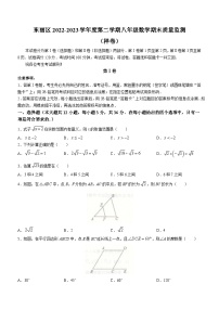 天津市东丽区2022-2023学年八年级下学期期末数学试题（含答案）