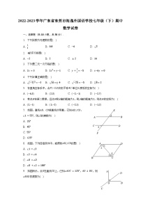 2022-2023学年广东省东莞市海逸外国语学校七年级（下）期中数学试卷（含解析）