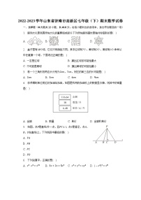 +山东省济南市高新区2022-2023学年七年级下学期期末数学试卷（含答案）