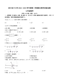 广东省肇庆市封开县2022-2023学年七年级下学期7月期末数学试题（含答案）