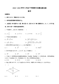 山西省吕梁市中阳县2022-2023学年八年级下学期期末数学试题（含答案）