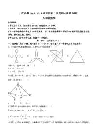 陕西省咸阳市武功县2022-2023学年八年级下学期期末数学试题（含答案）