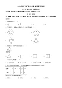 2023年辽宁辽阳中考数学真题（Word版附答案）