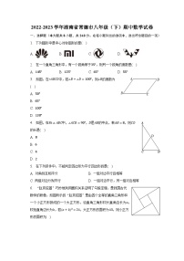 2022-2023学年湖南省常德市八年级（下）期中数学试卷（含解析）