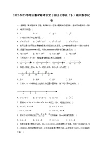 2022-2023学年安徽省蚌埠市龙子湖区七年级（下）期中数学试卷（含解析）