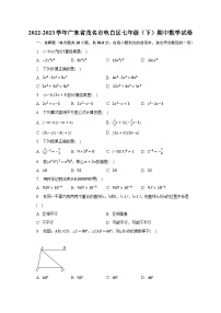 2022-2023学年广东省茂名市电白区七年级（下）期中数学试卷（含解析）