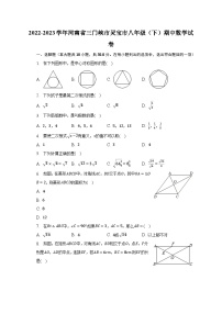 2022-2023学年河南省三门峡市灵宝市八年级（下）期中数学试卷（含解析）