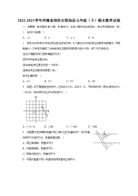 2022-2023学年河南省信阳市固始县七年级（下）期末数学试卷（含解析）