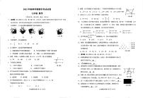 广西壮族自治区钦州市灵山县那隆中学2022-2023学年七年级下学期期末考试数学试卷