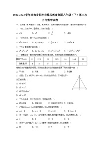 2022-2023学年湖南省长沙市雅礼教育集团八年级（下）第三次月考数学试卷（含解析）