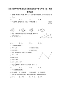 2022-2023学年广东省汕头市潮阳区棉北中学七年级（下）期中数学试卷（含解析）