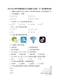 2022-2023学年河南省周口市太康县七年级（下）期末数学试卷（含解析）