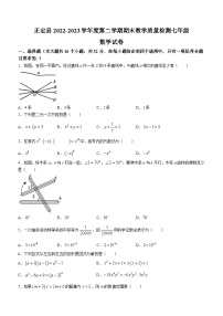 河北省石家庄市正定县2022-2023学年七年级下学期期末数学试题（含答案）