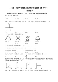 陕西省宝鸡市陈仓区2022-2023学年七年级下学期6月期末数学试题（含答案）