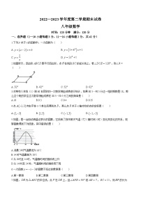 河北省邯郸市大名县2022-2023学年八年级下学期6月期末数学试题（含答案）