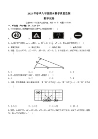 湖南省张家界市桑植县2022-2023学年八年级下学期6月期末数学试题（含答案）