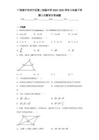 广西南宁市兴宁区第二初级中学2022-2023学年八年级下学期3月数学月考试题（含答案解析）