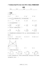 广东省汕头市金平区2022-2023学年八年级上学期期末数学试题