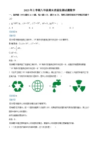 精品解析：湖南省娄底市新化县2022-2023学年八年级下学期期末数学试题（解析版）