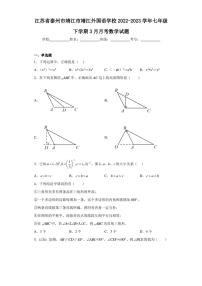 江苏省泰州市靖江市靖江外国语学校2022-2023学年七年级下学期3月月考数学试题（含答案解析）