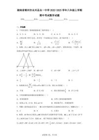 湖南省郴州市永兴县永一中学2022-2023学年八年级上学期期中考试数学试题