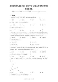 湖南省湘西凤凰县2022—2023学年七年级上学期期末学情诊断数学试卷