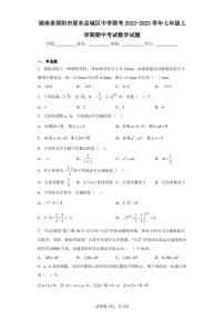 湖南省邵阳市邵东县城区中学联考2022-2023学年七年级上学期期中考试数学试题