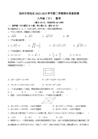 安徽省池州市贵池区2022-2023学年八年级下学期期末数学试题（含答案）