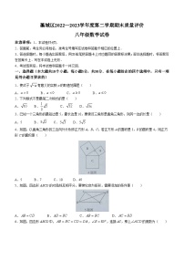 河北省石家庄市藁城区2022-2023学年八年级下学期期末数学试题（含答案）