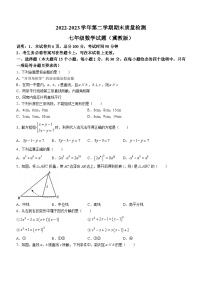 河北省邯郸市广平县2022-2023学年七年级下学期数学期末试题（含答案）