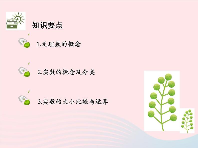 11.2 实数 华东师大版八年级数学上册教学课件第2页